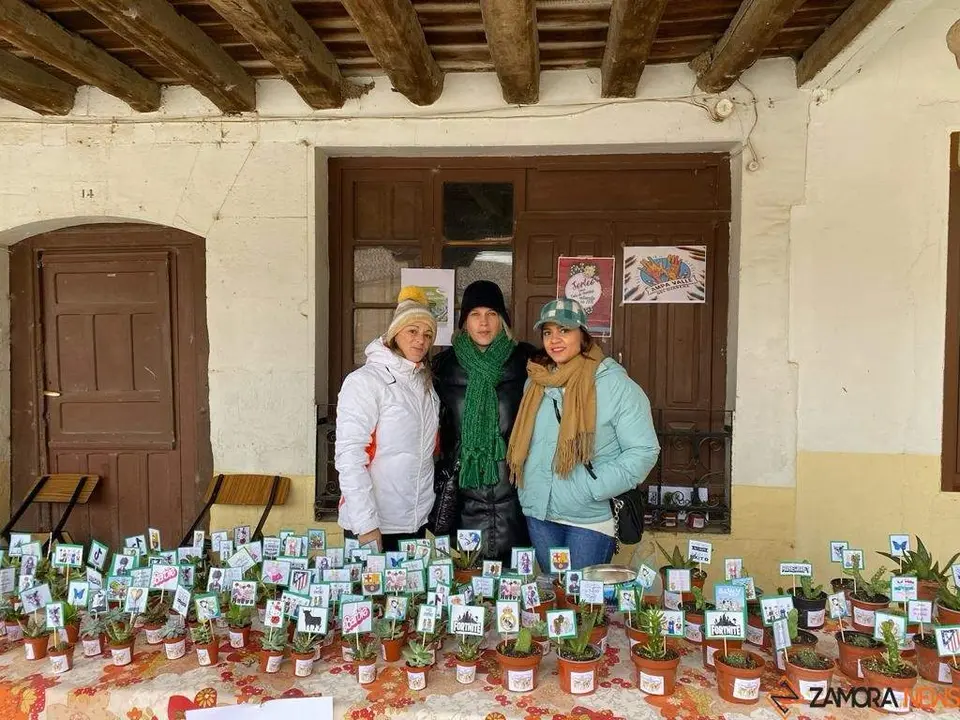  feria de los Santos Fuentesaúco 