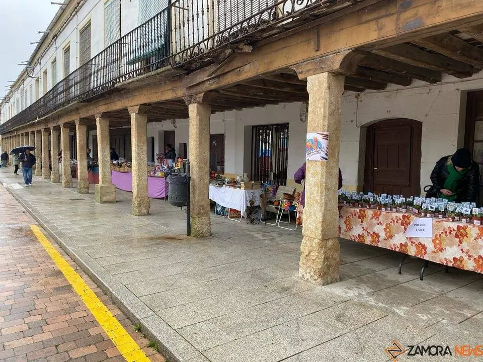  feria de los Santos Fuentesaúco _2