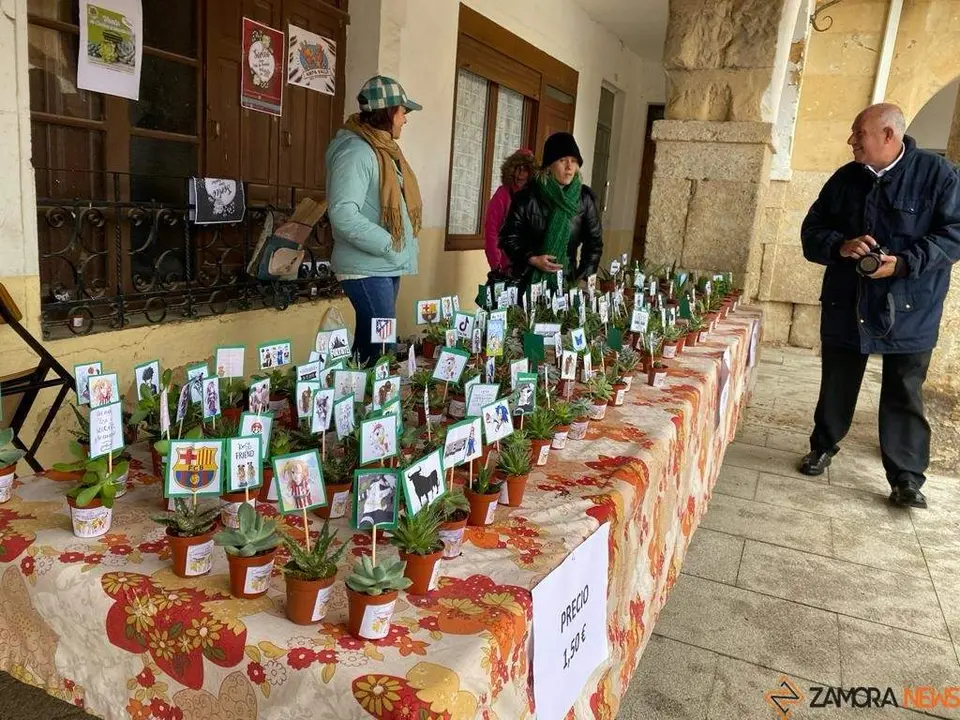  feria de los Santos Fuentesaúco _3