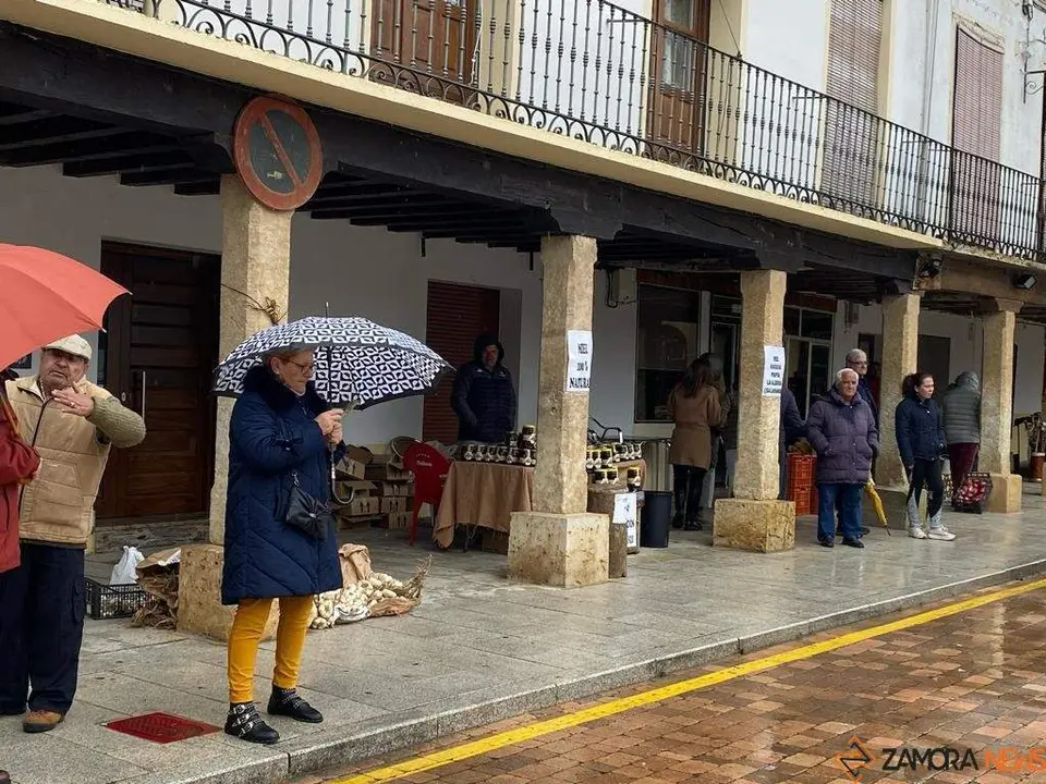  feria de los Santos Fuentesaúco _4