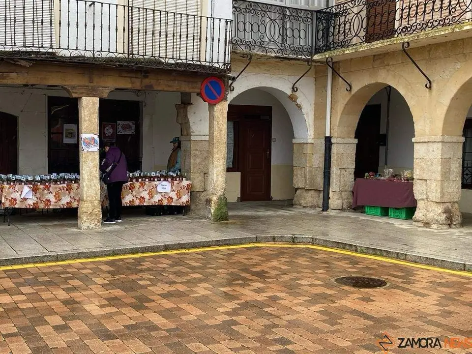  feria de los Santos Fuentesaúco _5