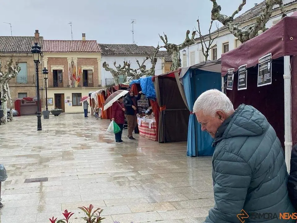  feria de los Santos Fuentesaúco _6