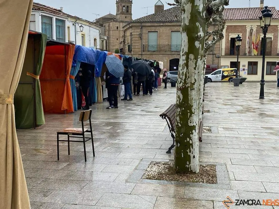  feria de los Santos Fuentesaúco _7