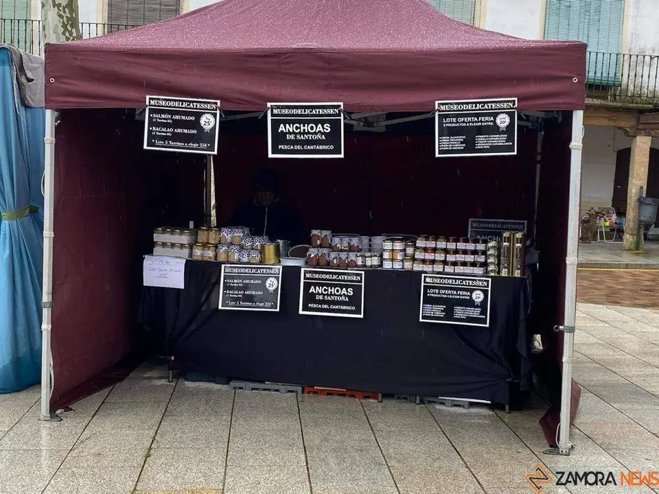  feria de los Santos Fuentesaúco _8