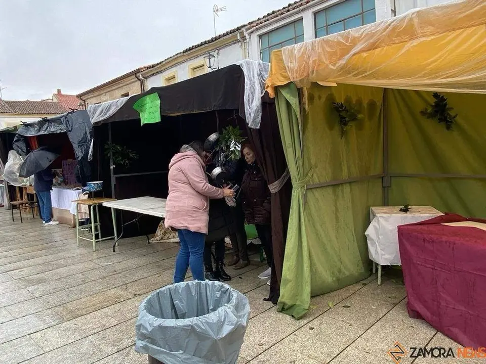  feria de los Santos Fuentesaúco _12