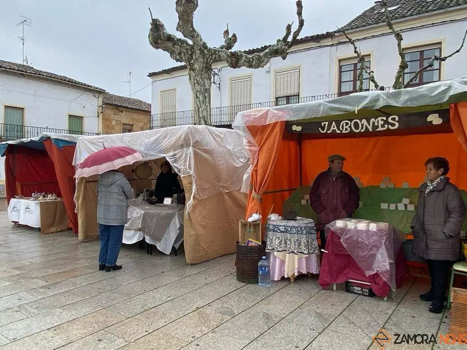  feria de los Santos Fuentesaúco _11