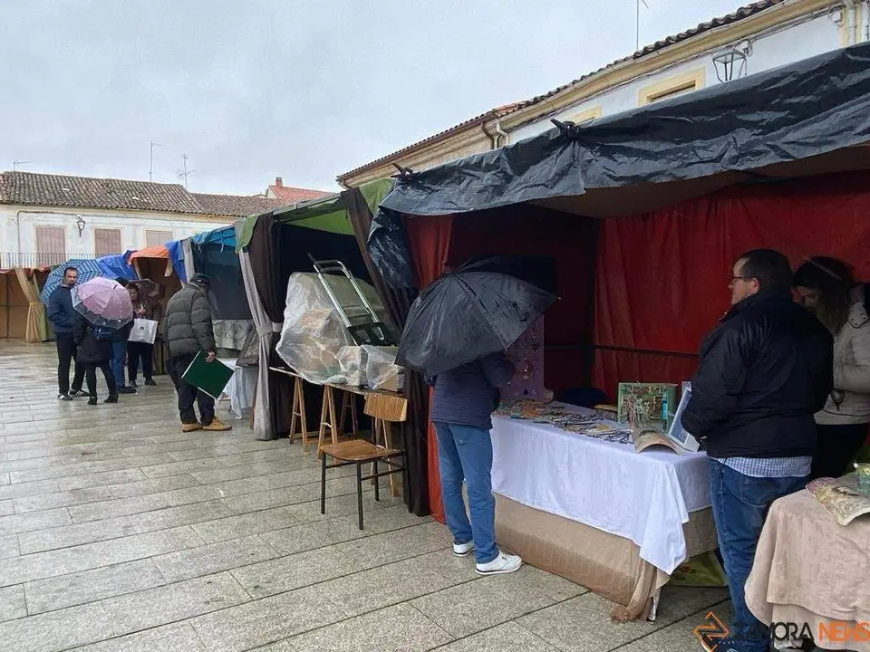  feria de los Santos Fuentesaúco _13