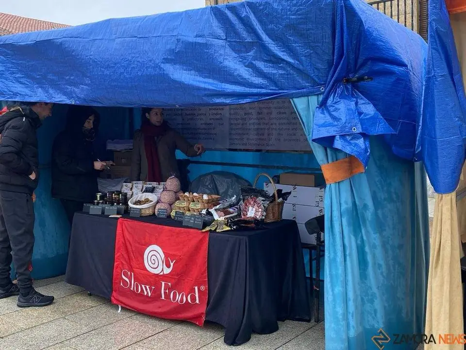  feria de los Santos Fuentesaúco _14