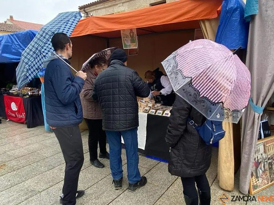  feria de los Santos Fuentesaúco _15