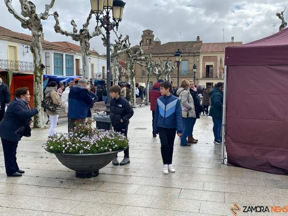  feria de los Santos Fuentesaúco _20