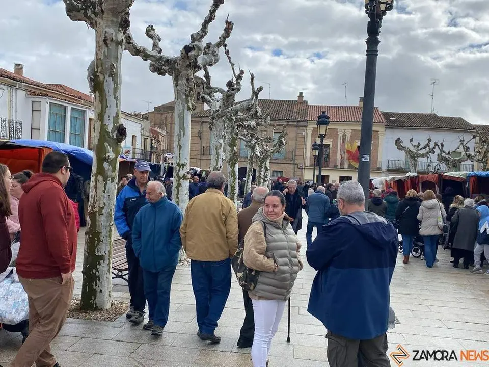 feria de los Santos Fuentesaúco _21