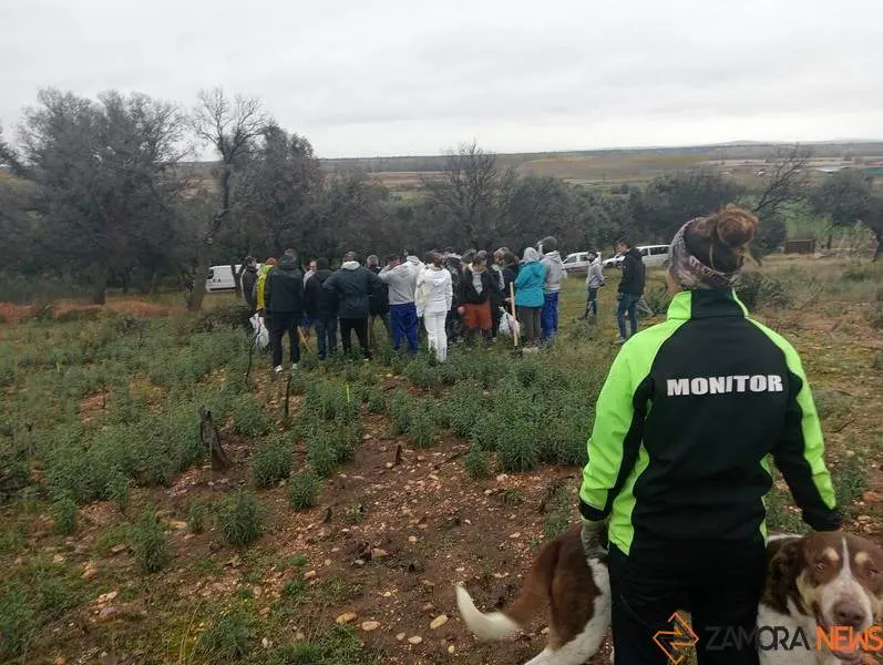 Reforestación en el Tera_4