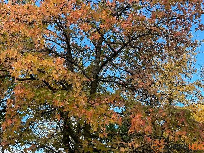 Otoño en Zamora