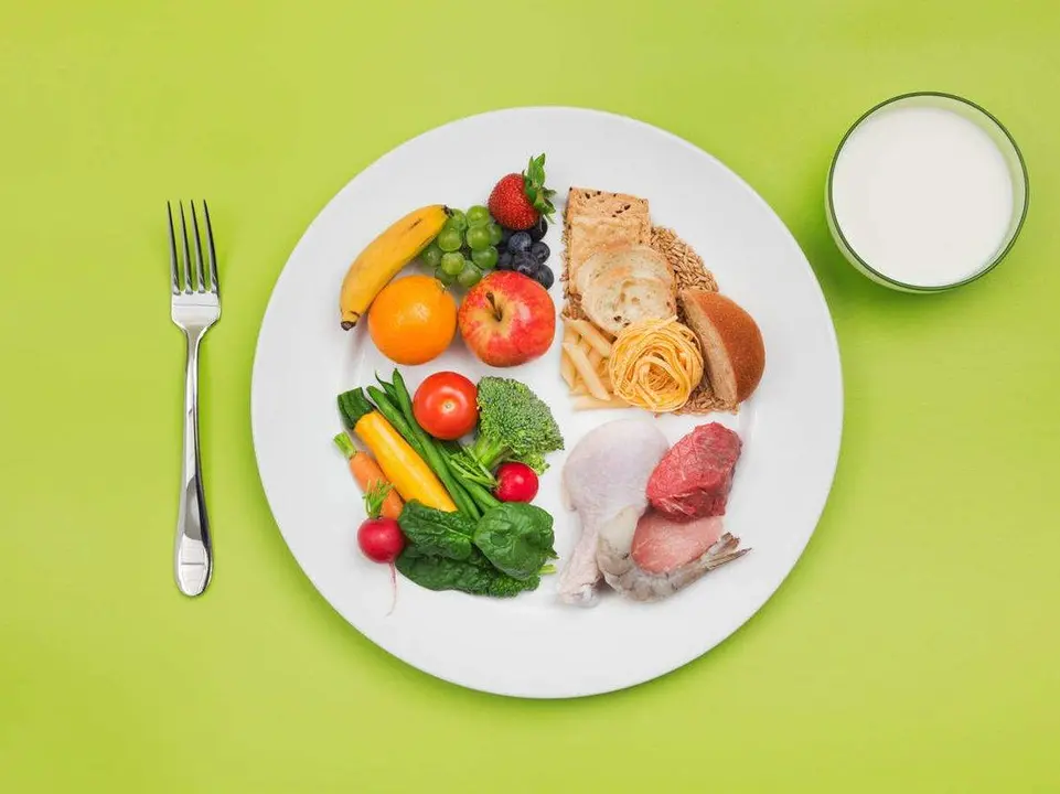 plato de comida