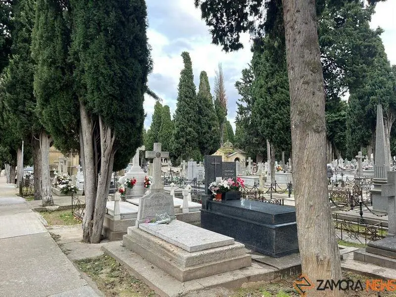 Cementerio de San Atilano (4). imagen de archivo