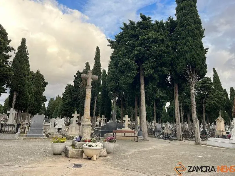 Cementerio de San Atilano (11)