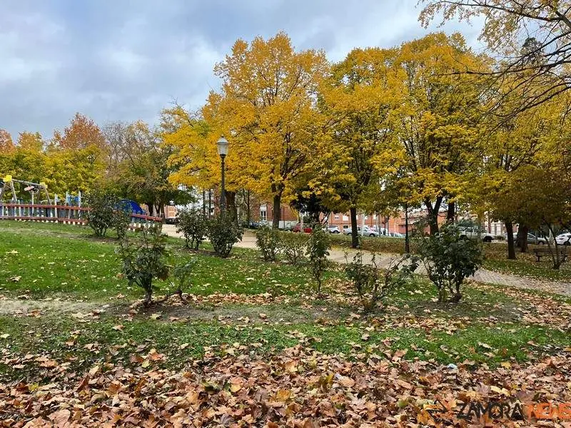 Otoño en Zamora (2)