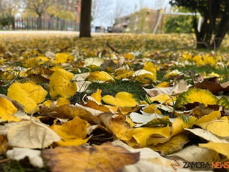 Otoño