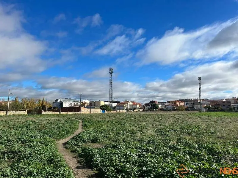 Día soleado en Zamora