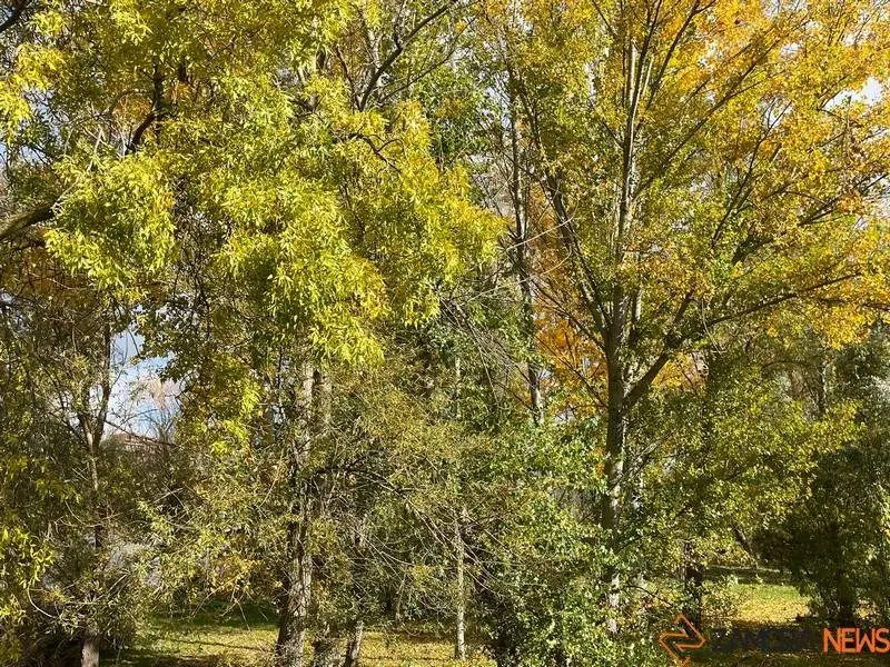 Zamora en otoño (5)