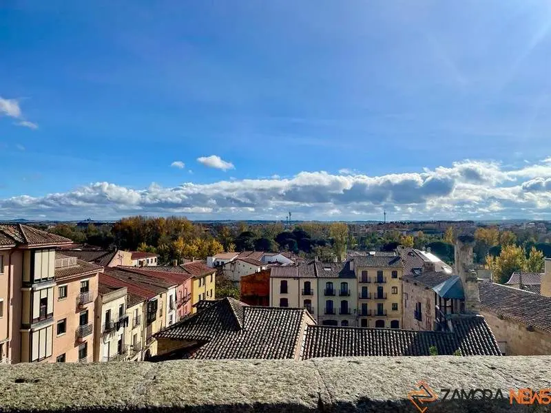 Zamora