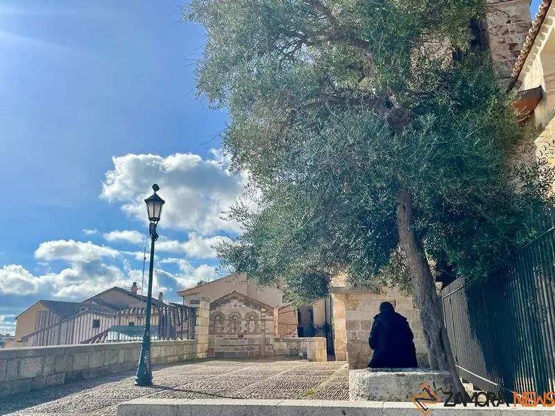 Zamora_2