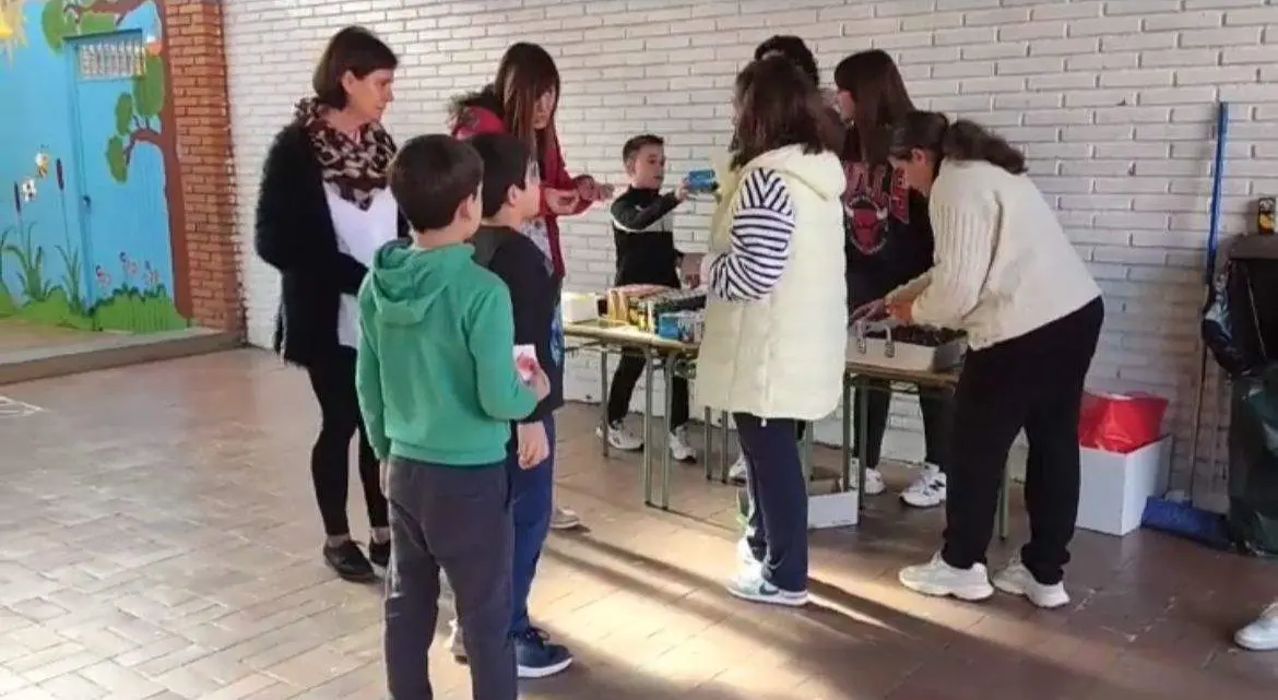 magosto en el colegio ceip el Tera