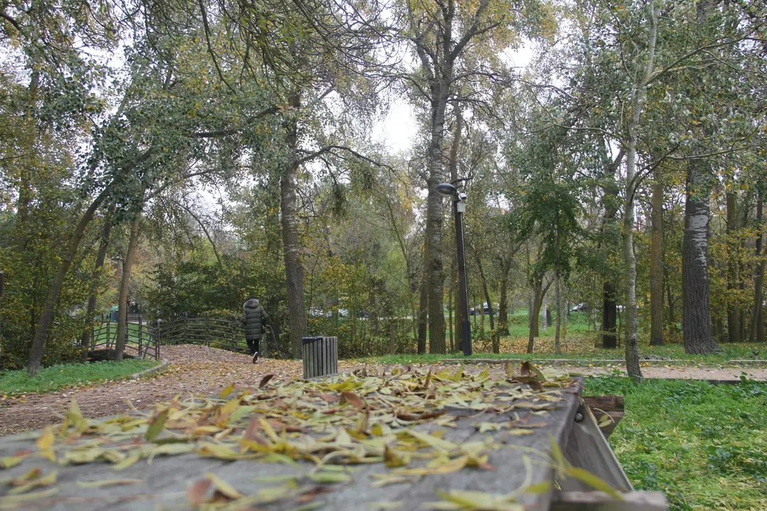 Parque de Valorio