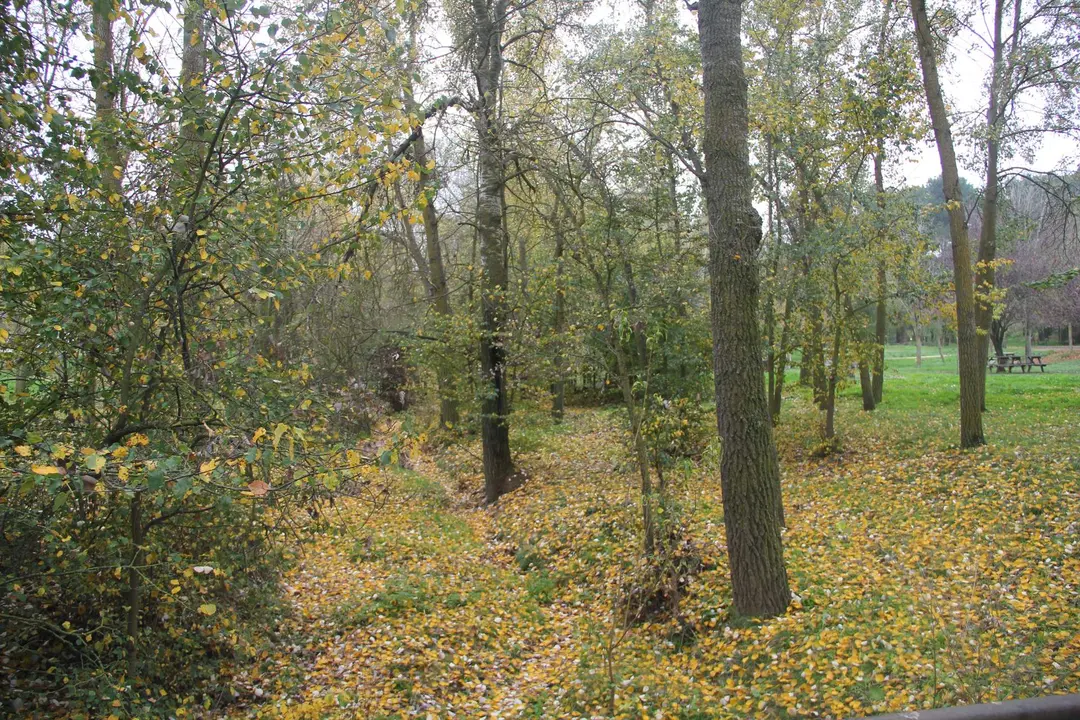 Parque de Valorio_2