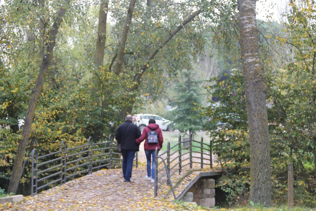 Paseo por el parque de Valorio