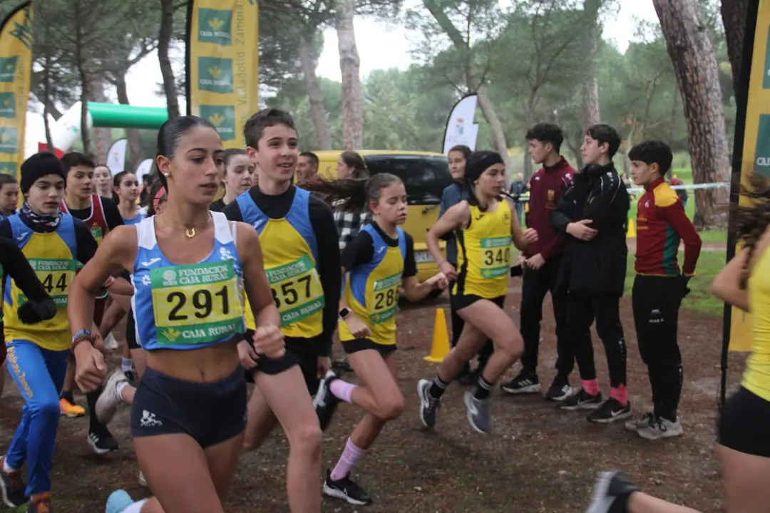 VII Cross de Otoño en el bosque de Valorio_27