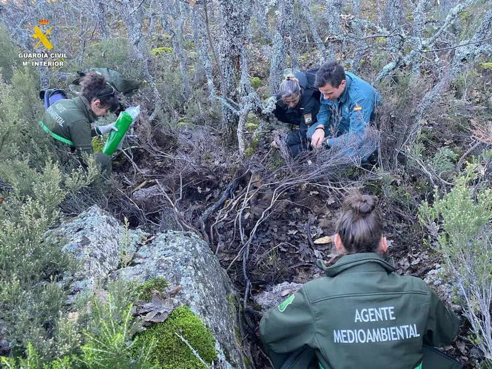 Localización de los restos del oso pardo en el Parque Natural 'La Montaña Palentina'. Fotografía: GC