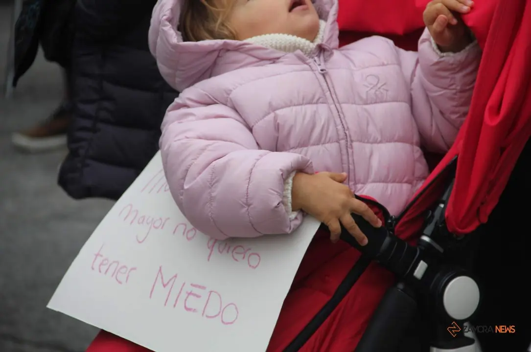Acto de homenaje a las víctimas de la Coordinadora Feminista de Zamora por el 25N_17