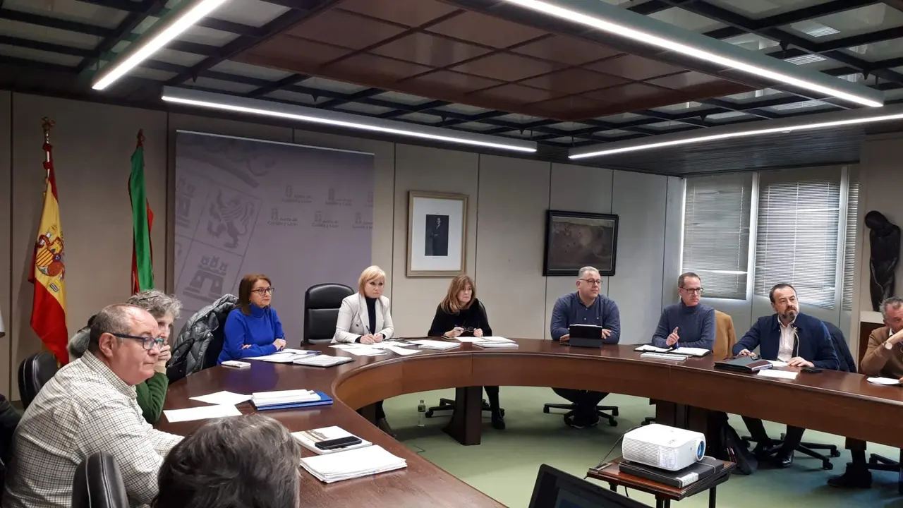 Comisión de Patrimonio finales de febrero (1)