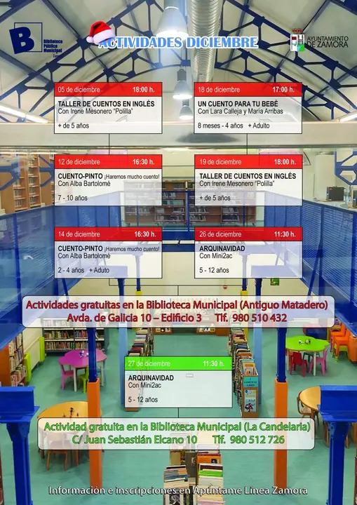 Programación final bibliotecas