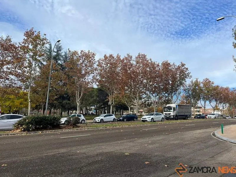 Avenida del Cardenal Cisneros