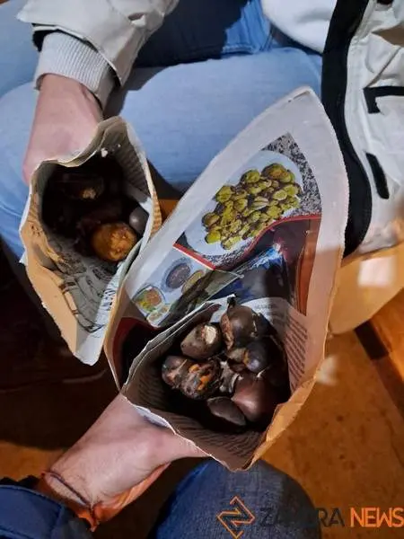 Magosto en Vecilla de la Polvorosa _2