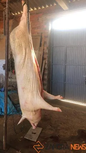 matanza en el Tera 