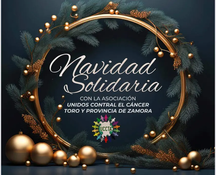 Navidad solidaria (2)