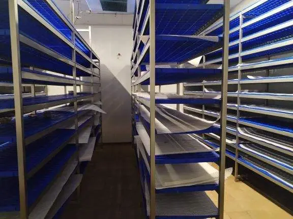 Fábrica de queso ecológico Beato de Tábara después del robo. Imagen cedida