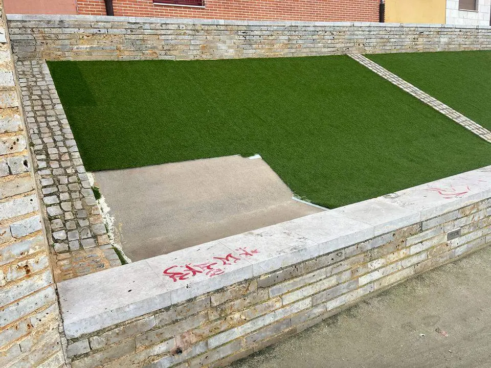Actos vandálicos Toro