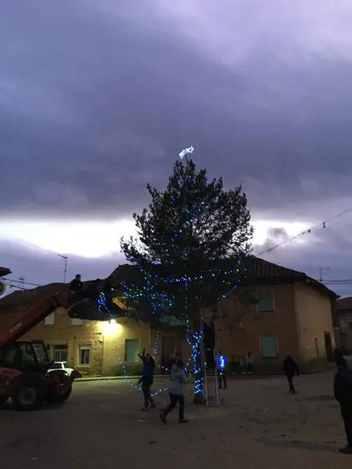 árbol de Navidad en Coomonte