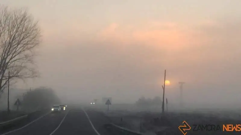 Niebla en Zamora (1)