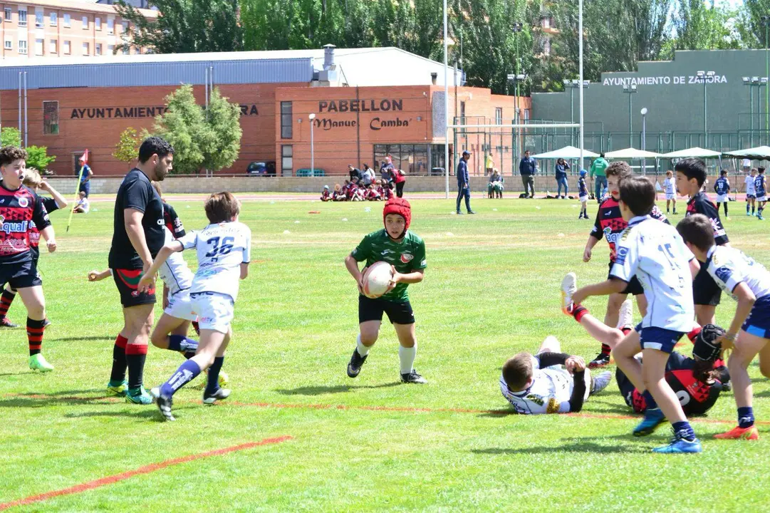 Rugby cyl pequeños