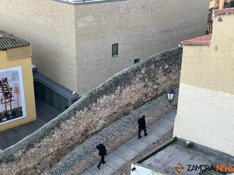 Viandantes en Zamora