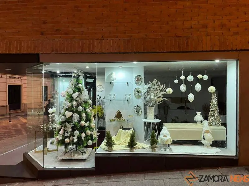 Escaparate navide&ntilde;o en Zamora (1)