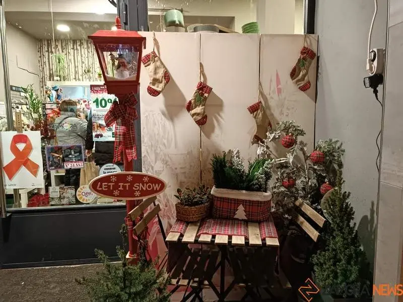 Escaparate navideño en Zamora (2)