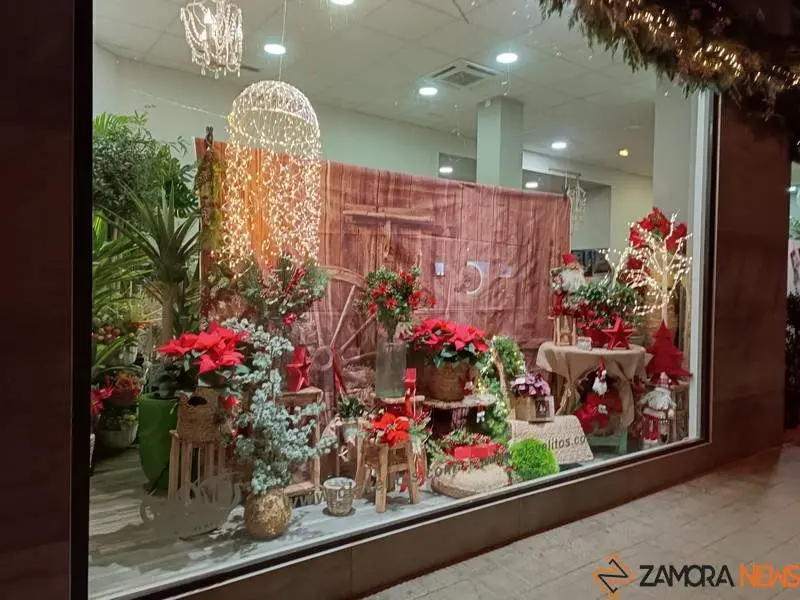 Escaparate navide&ntilde;o en Zamora (3)