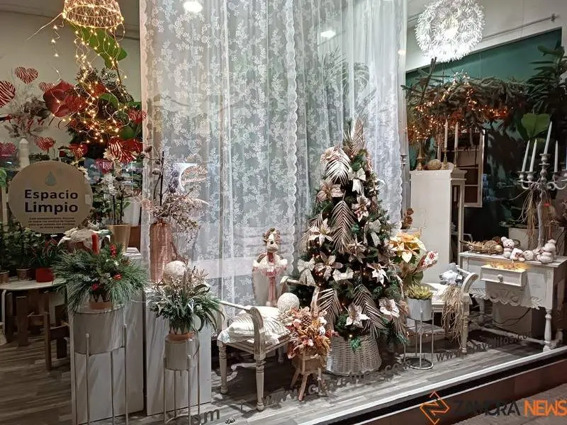Escaparate navide&ntilde;o en Zamora (4)