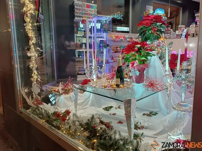 Escaparate navide&ntilde;o en Zamora (5)
